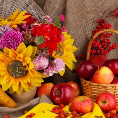 Astuces déco pour une cuisine champêtre