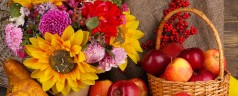 Astuces déco pour une cuisine champêtre