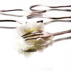 Les fleurs, un bel accessoire pour la cuisine