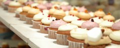 A la découverte des saveurs