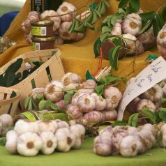 La cuisine thérapeutique : quand les aliments soignent