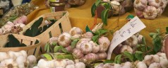 La cuisine thérapeutique : quand les aliments soignent