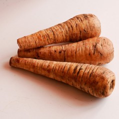 Gros plan sur les légumes anciens