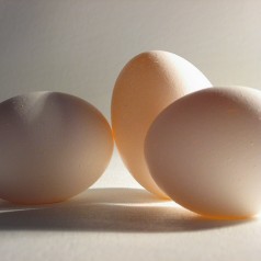 Bien choisir ses oeufs