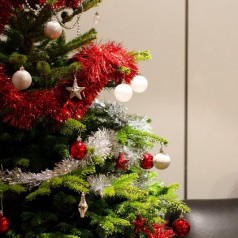 Maigrir avant les fêtes !