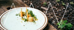 Sirha 2015 à Lyon présente : Omnivore Food Studio