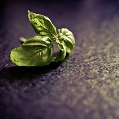 Que mange-t-on dans les restaurants de Florence ?