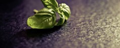 Que mange-t-on dans les restaurants de Florence ?