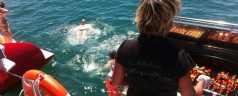 Sortie dinatoire en catamaran sur la Méditerranée