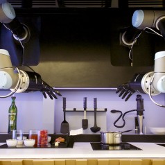 Moley le robot qui cuisine 2000 recettes