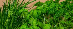 Quels aromates faire pousser dans sa cuisine en hiver ?