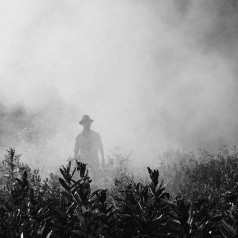 Connaissez-vous les gestes pour enlever les pesticides de vos aliments ?