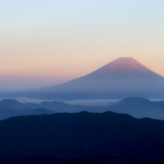 La restauration japonaise, ce n’est pas que du sushi