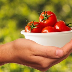 Quelles sont les solutions favoriser la consommation de proximité ?