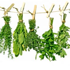 5 herbes à utiliser en cuisine