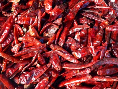 Piment chile ou chili mexicain