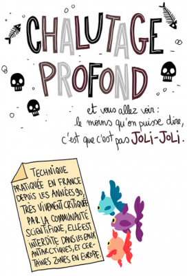 Le chalutage profond expliqué par Pénélope Jolicoeur