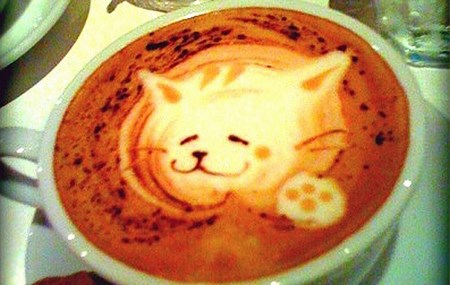 chat-mousse-cafe