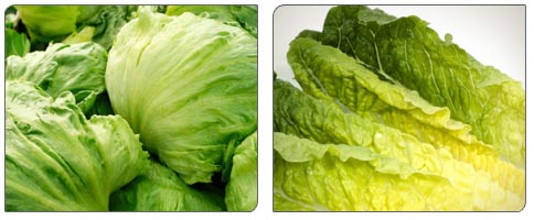 foodreplacement_11_romaine