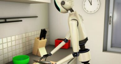 robot de cuisine multifonctions