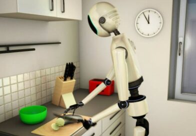 robot de cuisine multifonctions