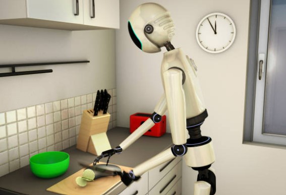 robot de cuisine multifonctions