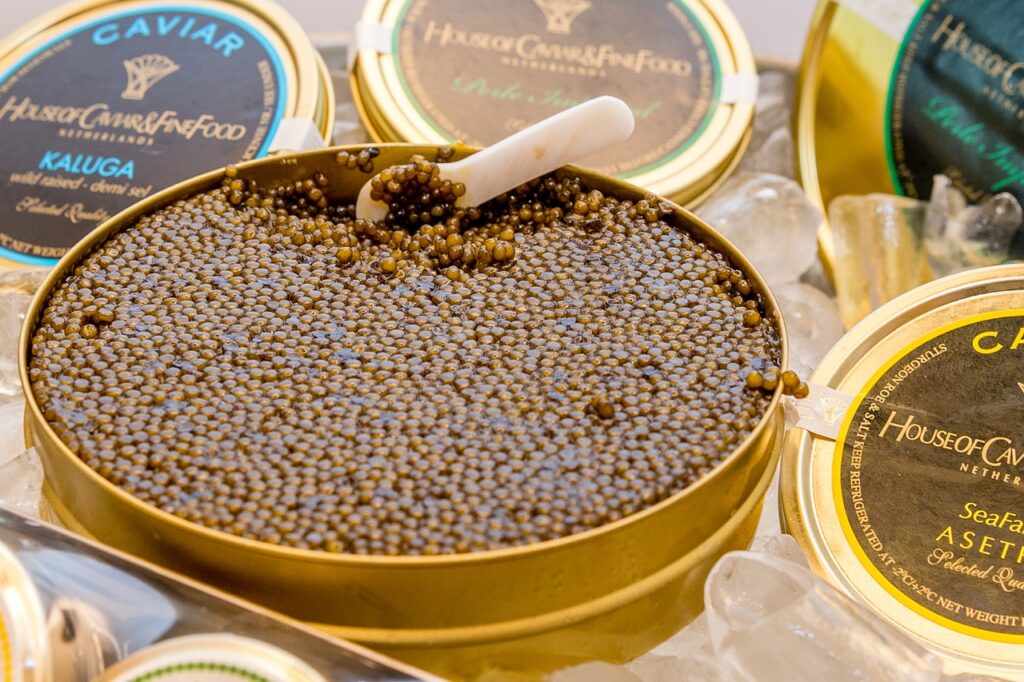 caviar d'esturgeon d'élevage