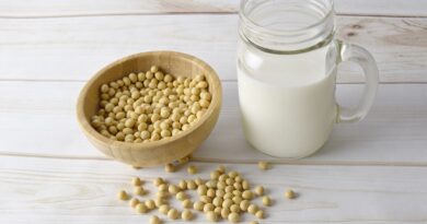 Lait de soja